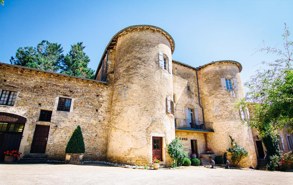 Chateau D'Ige Екстериор снимка